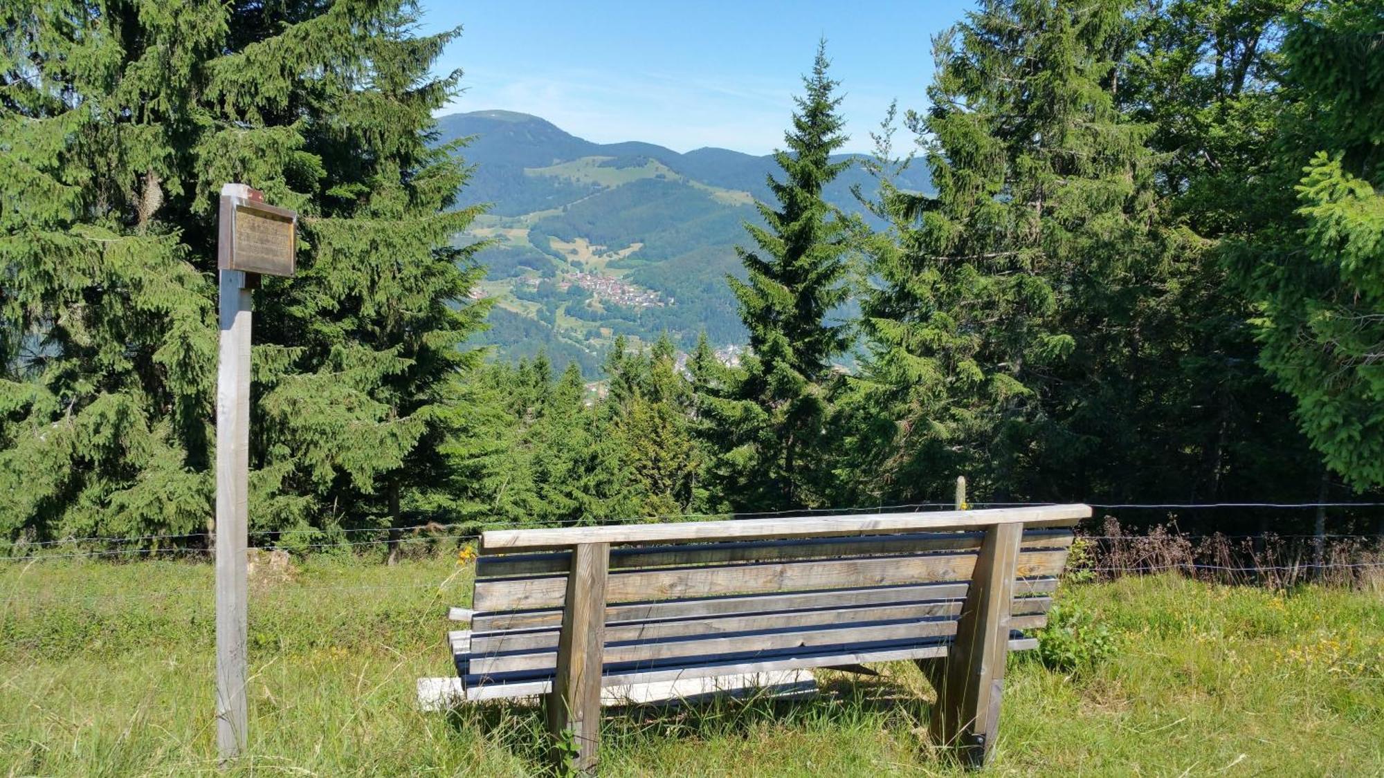 Haus Foehrenbach Daire Schonenberg Dış mekan fotoğraf