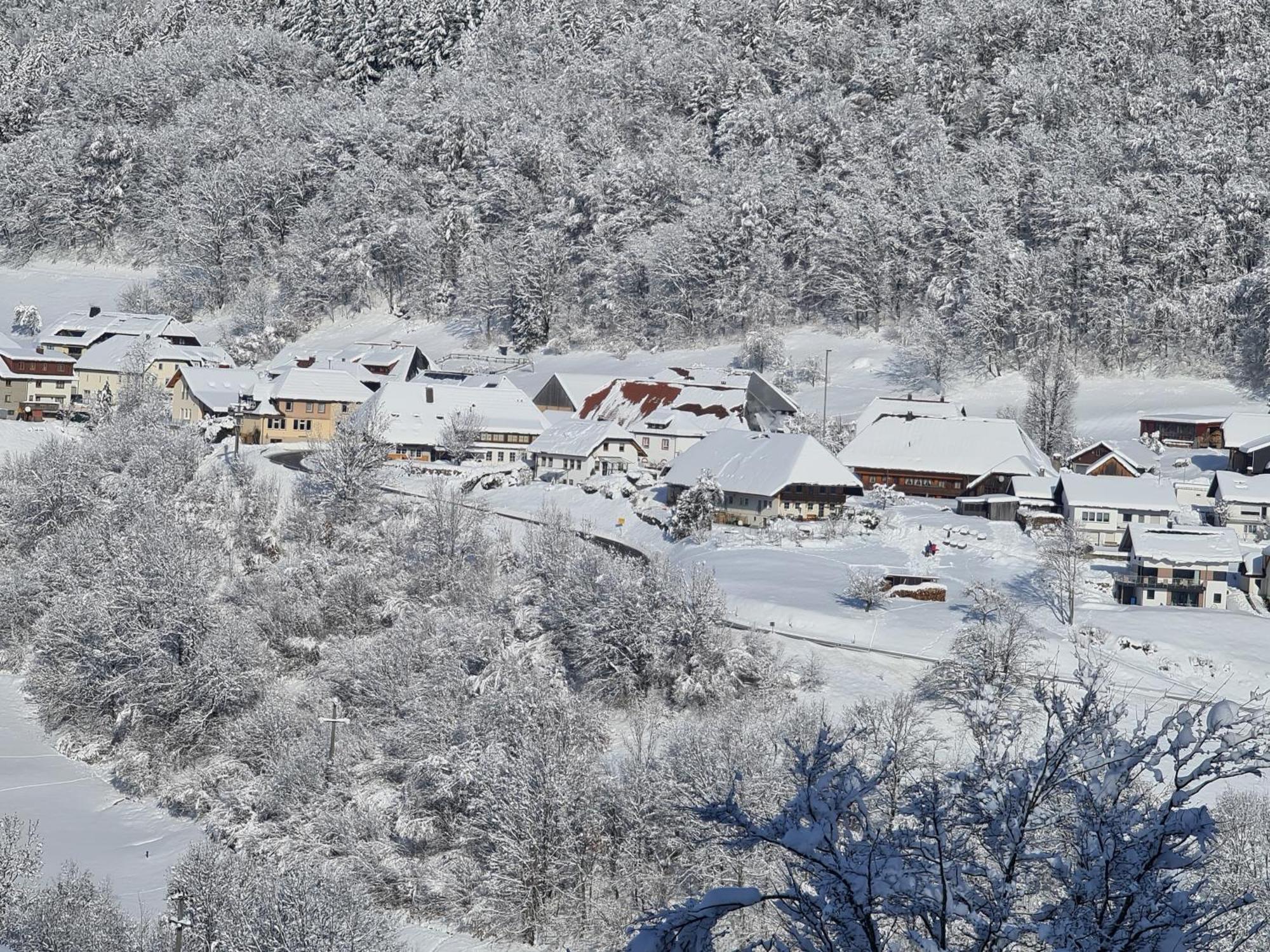 Haus Foehrenbach Daire Schonenberg Dış mekan fotoğraf
