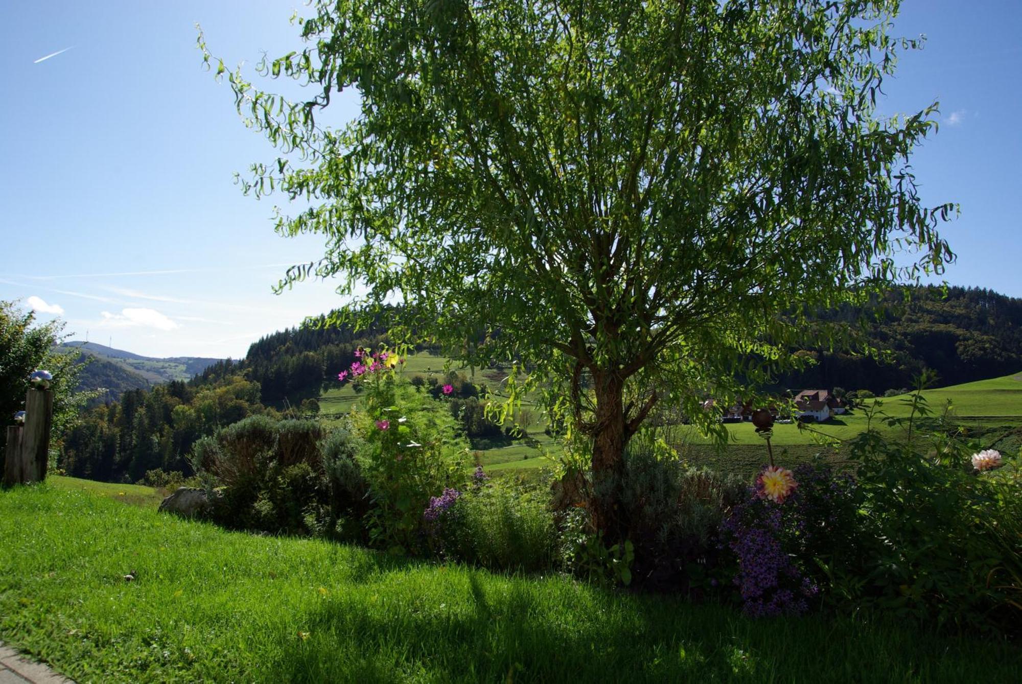 Haus Foehrenbach Daire Schonenberg Dış mekan fotoğraf