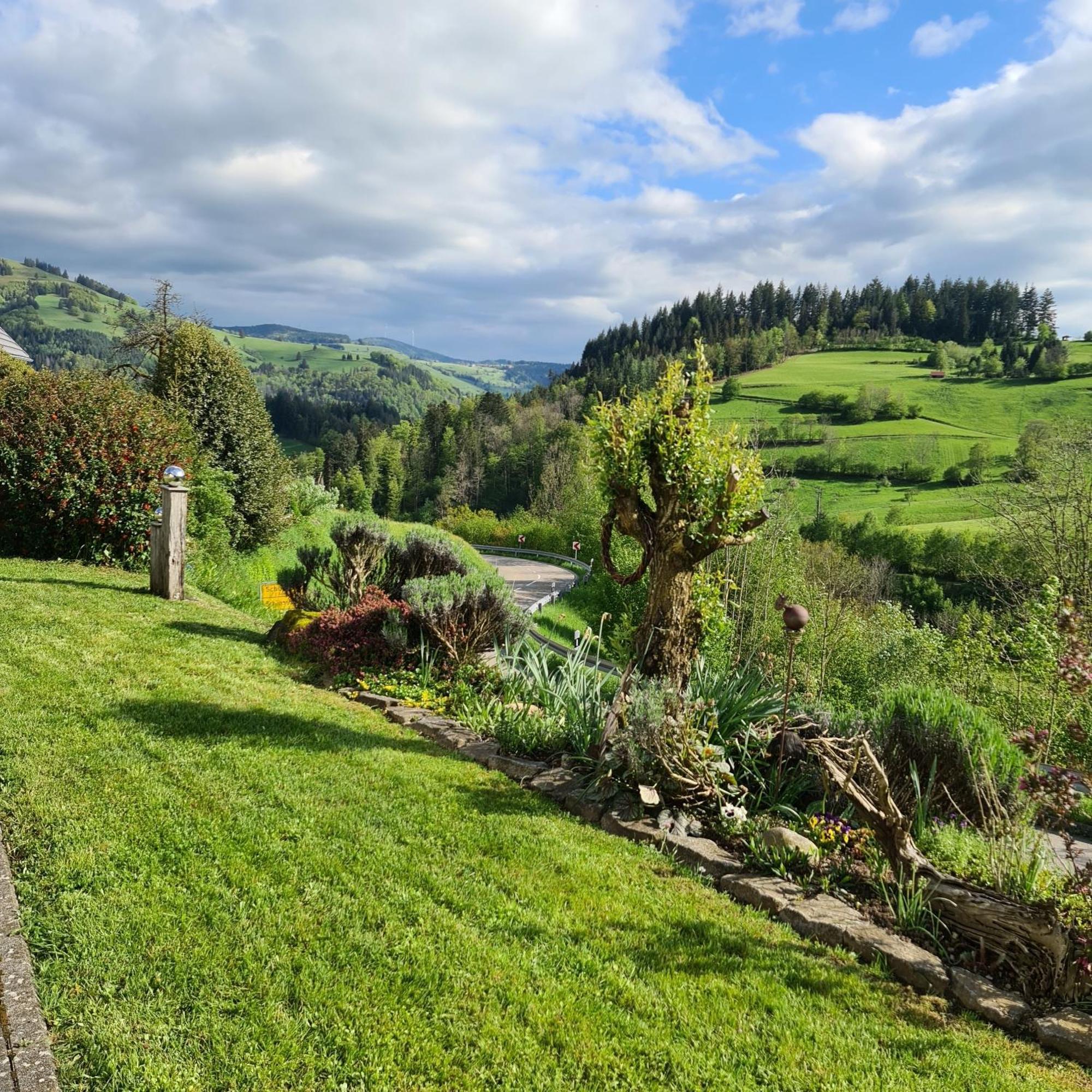 Haus Foehrenbach Daire Schonenberg Dış mekan fotoğraf